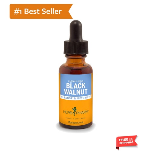 Black walnut liquid - walnut, extract